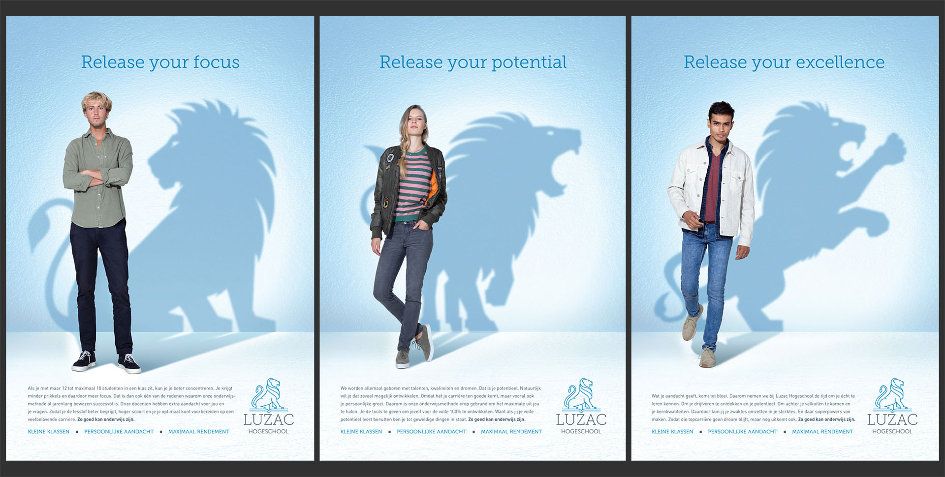 luzac university illustrations focus potential excellence campaign photo manipulation lion shaped shadows 2d 3d